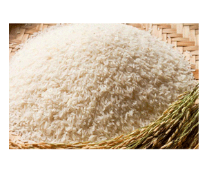 Gạo ruộng